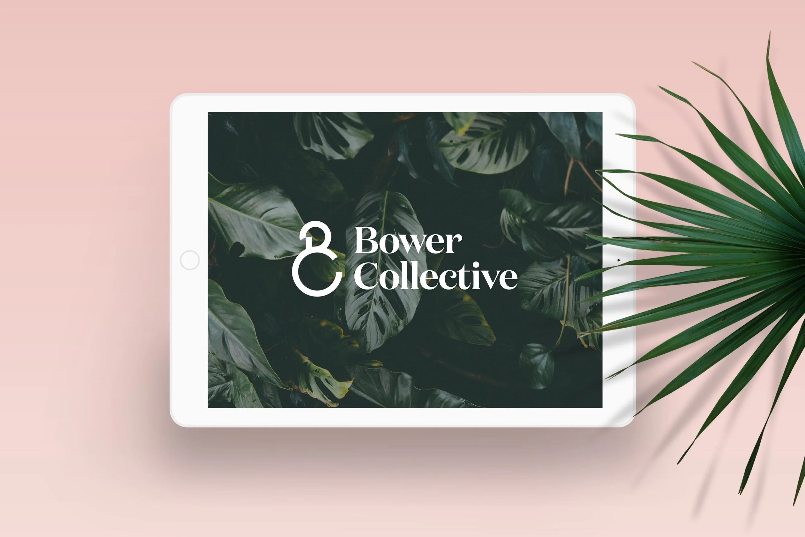 Bower Collective referral code offer