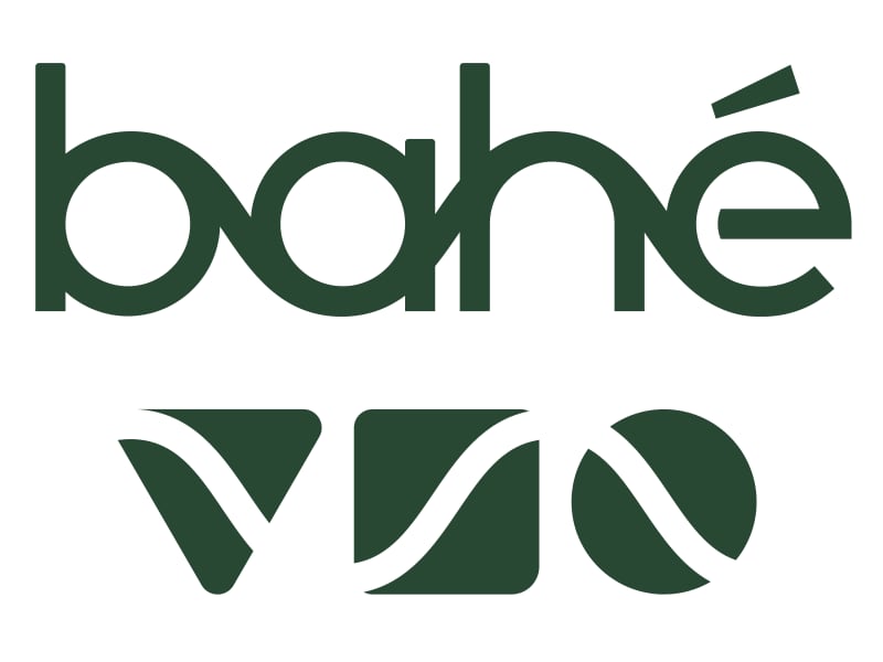 bahe logo